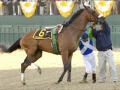 barbaro
