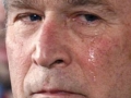 bush_moh