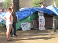 occupy-pcola-2