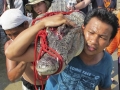 thailand-floods