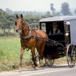Drive-By Amish Buggy Shooting